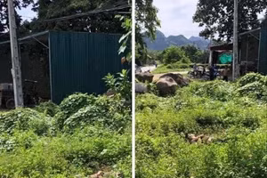 Hiện trường nơi xảy ra vụ việc