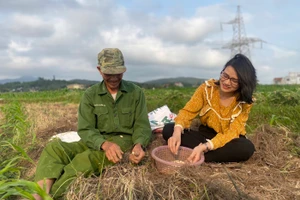 Nông dân phấn khởi thu hoạch hành tăm.