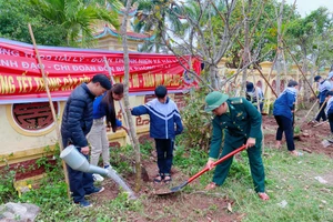 Hoạt động Tết trồng cây theo gương Bác Hồ vĩ đại là truyền thống tốt đẹp của dân tộc ta. 