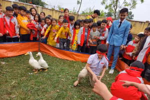 Trò chơi bịt mắt bắt vịt là hoạt động thu hút sự tham gia nhiệt tình và tiếng cười sảng khoái của các em học sinh.