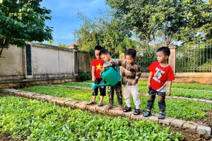 Trẻ được trải nghiệm tưới nước cho vườn rau tại Trường Mầm non Tản Lĩnh B (Ba Vì, Hà Nội). 