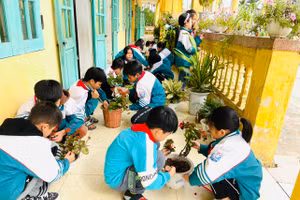 Các em học sinh trồng cây mới thay cho cây cũ vào các chậu cây xanh ở từng lớp dưới sự hướng dẫn của thầy cô. 