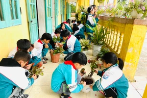 Các em học sinh trồng cây mới thay cho cây cũ vào các chậu cây xanh ở từng lớp dưới sự hướng dẫn của thầy cô. 