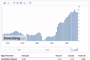 Nhà đầu tư trong nước mừng rỡ vì chứng khoán Mỹ tăng dựng đứng