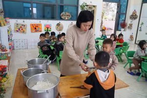 Cô Lê Thị Lợi, giáo viên Trường Mầm non Nghi Hòa, thị xã Cửa Lò, Nghệ An. Ảnh: Hồ Lài