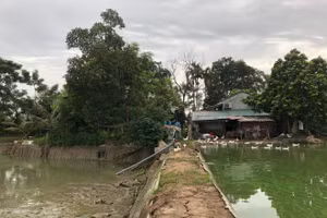 'Vạch mặt' kẻ giết người giấu xác dưới cống