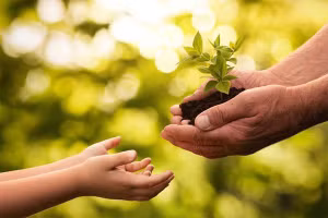 Ảnh minh họa/INT