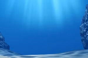 Nhựa từ những năm 1960 vẫn ở dưới đáy biển. 