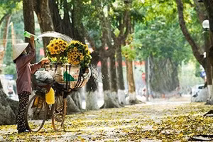 Dịu dàng cuối thu