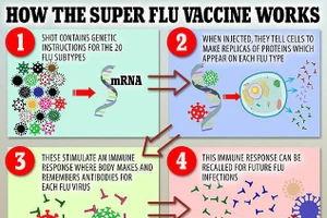 Tạo siêu vắc-xin ngừa hơn 20 loại cúm dựa trên công nghệ vắc-xin ngừa Covid. Ảnh: MSN.