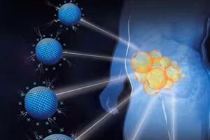 P-G3 tắt chương trình lưu trữ lipid trong các tế bào mỡ và giúp chuột giảm cân.