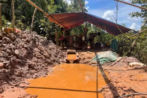 Việc khai thác vàng ở Mường Tè có nguy cơ gây ô nhiễm môi trường.