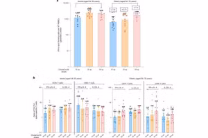 Mức độ phản ứng của tế bào T CD4+ và CD8+ do ChulaCov tạo ra. 