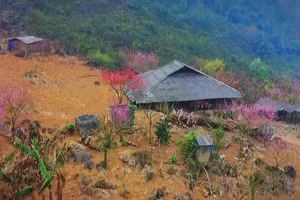 Ảnh minh họa/INT.