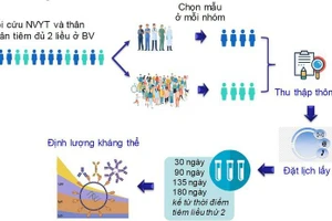 Quy trình thực hiện nghiên cứu.