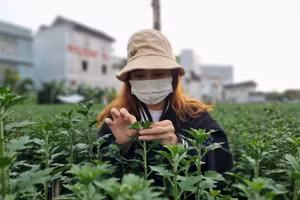 Công việc đòi hỏi sự tỉ mỉ.