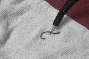 Chiếc móc câu được gắp ra từ thực quản bệnh nhân.