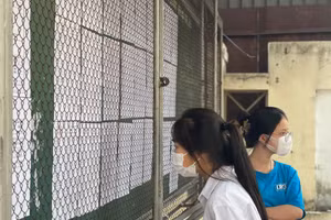 Hà Tĩnh: Điểm chuẩn vào lớp 10 công lập tăng mạnh