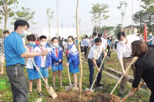 Giáo viên, học sinh thành phố Hà Tĩnh ra quân trồng cây xanh