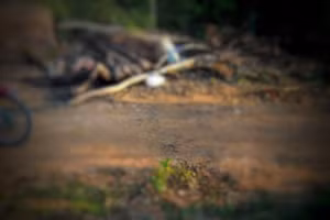 Hiện trường vụ việc. 