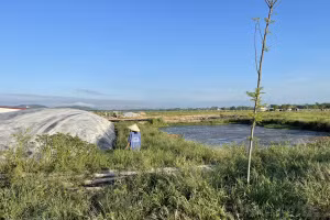 Hà Tĩnh: Xử phạt doanh nghiệp gây ô nhiễm hơn 1,2 tỷ đồng