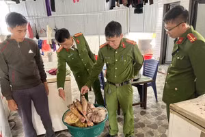 Hơn 4,1 tạ thực phẩm bẩn được dữ trữ để bán cho các quán ăn trên địa bàn Hà Tĩnh.