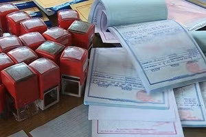 Hà Tĩnh: Khởi tố giám đốc doanh nghiệp trốn thuế gần 900 triệu đồng