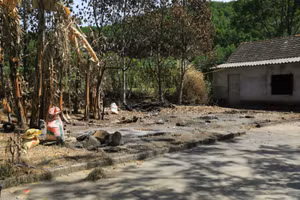 Hàng chục nhà chứa rơm bị kẻ xấu thiêu rụi tại xã Sơn Tiến (huyện Hương Sơn).