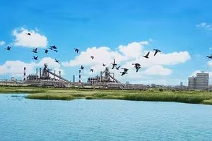 Nỗ lực bảo vệ môi trường của Formosa: Đến trường học cũng muốn trải nghiệm