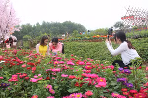 Giới trẻ Hà Tĩnh thích thú lên núi du xuân ngày đầu năm