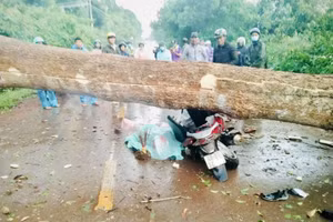 Hiện trường vụ tai nạn