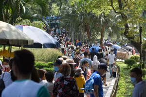 Những con đường nhỏ trong công viên lúc nào cũng trong tình trạng đông nghẹt người.