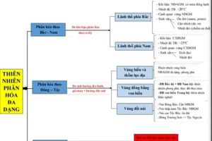 Cách sử dụng sơ đồ tư duy trong dạy học Địa lí