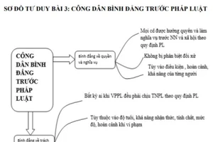 Một ví dụ về sơ đồ tư duy cô Trần Thị Mai chia sẻ trong bài "Công dân bình đẳng trước pháp luật".