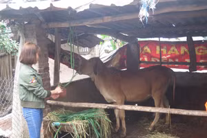 ‘Chìa khóa’ giúp người dân vươn lên thoát nghèo bền vững.