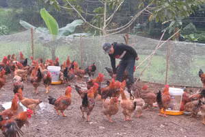 Phát huy vai trò chủ thể của người dân trong thực hiện chương trình giảm nghèo.