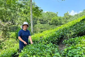 Chị Đặng Thị Xuân ở xóm Ngọc Mỹ, xã Liên Minh, huyện Võ Nhai (Thái Nguyên) là một trong những gia đình được hưởng lợi từ các chính sách thuộc Chương trình MTQG về Giảm nghèo bền vững.