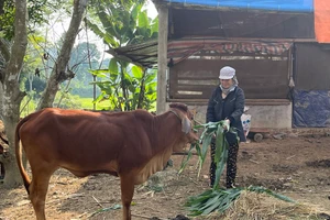 Trao 'cần câu' sinh kế giúp đồng bào huyện Định Hoá thoát nghèo.