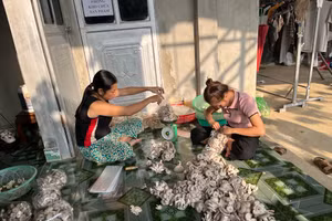 Triển khai đồng bộ các giải pháp giải quyết việc làm góp phần xoá đói giảm nghèo.