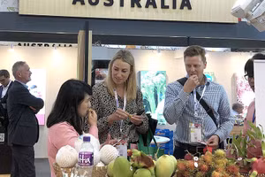 Các doanh nghiệp Việt đã tìm thêm được nhiều thị trường mới cho trái cây, nông sản Việt thay vì tập trung nhiều vào thị trường Trung Quốc như trước đây. Ảnh: QUANG HUY