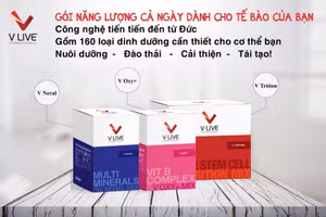 Sản phẩm của Công ty Wise Corridor Việt Nam.