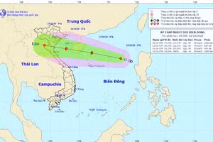 Áp thấp nhiệt đới đã mạnh lên thành bão số 7