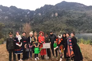 Các người đẹp và kiểm lâm viên tham gia trồng rừng