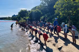 Không khí rộn ràng ngày khai giảng lớp học bơi năm 2024 tại thị trấn Phong Nha.