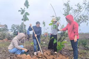 Cán bộ, giáo viên, sinh viên Phân hiệu Đại học Huế tại Quảng Trị trồng cây đầu Xuân.