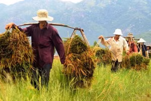 Tỷ lệ hộ nghèo, hộ cận nghèo tăng từ 5,2% (năm 2020) lên 9,35% (năm 2022). Ảnh minh họa, nguồn Internet.