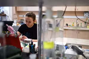 Ảnh minh họa. Ria.ru