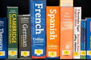 Chính phủ có thể sẽ không đạt được mục tiêu ¾ số học sinh tham gia chương trình GCSE ngoại ngữ vào năm 2022. (Ảnh: Alamy).
