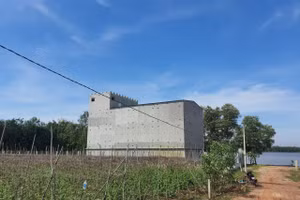 Cần đảm bảo phát triển vùng nuôi chim yến không gây ảnh hưởng đến đời sống người dân. 