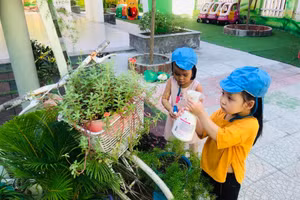 Học sinh Trường Mầm non Bình Minh chăm sóc cây xanh 